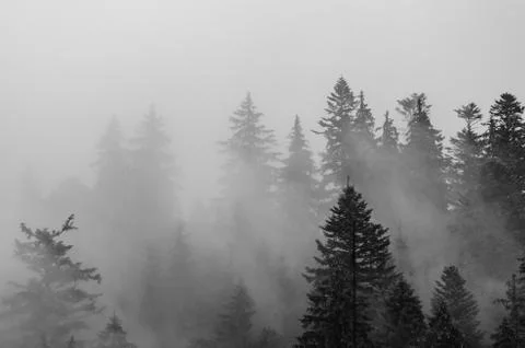 Misty mountain landscape Photos