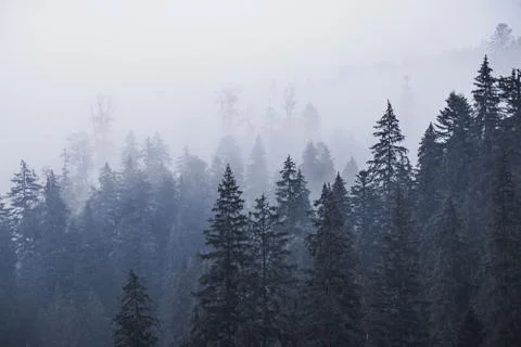 Misty mountain landscape Stockfoto's