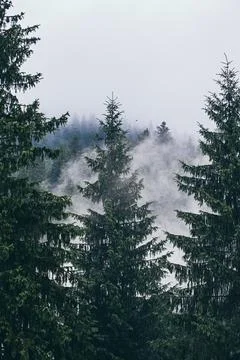 Misty mountain landscape Foto stock