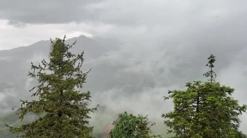 Misty Mountain Landscape with Pine Trees in Sa Pa, Vietnam Video stock 314931906