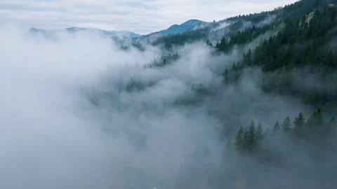 Misty Mountain Landscape A Scene Enveloped in Ethereal Fog Stock Footage 319952078