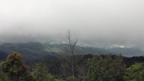 Misty Mountain Landscape Surrounded by Lush Green Forest. Stock Footage 302262841
