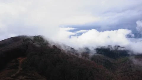 Misty mountain lanscape 動画素材 167667343