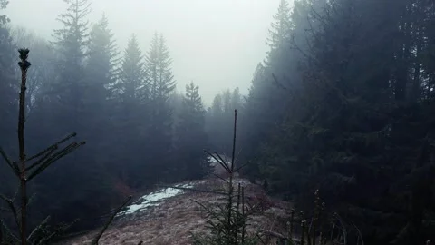 Misty Mountain Morning in Spring with Snow Patches 4K Stock-Footage 335098971