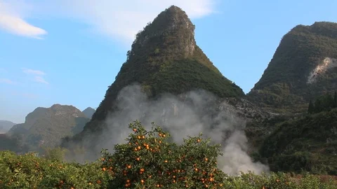 Misty Mountain Orange Field Stock Footage 105453875