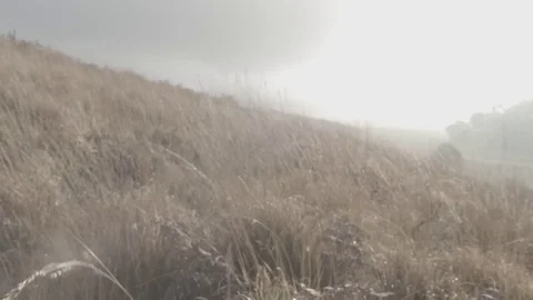 Misty mountain pass Stock Footage 84892339