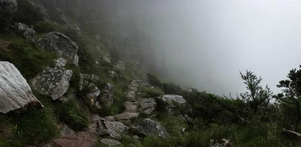 Misty Mountain Path Stock Photos