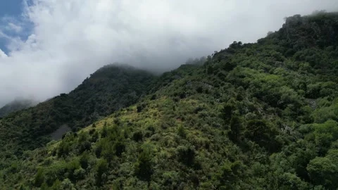 Misty Mountain Peaks 1 Stock Footage 278221961