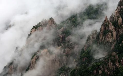 Misty Mountain Peaks with Pine Forest in Dramatic Fog Stock Photos