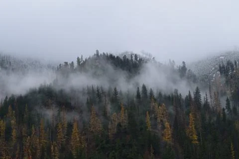 Misty mountain Stockfoto's