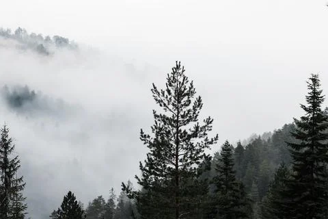 Misty mountain range in early morning Stock Photos