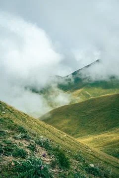 Misty mountain ridges blend with soft greenery under overcast sky. Kyrgyzstan Stock Photos