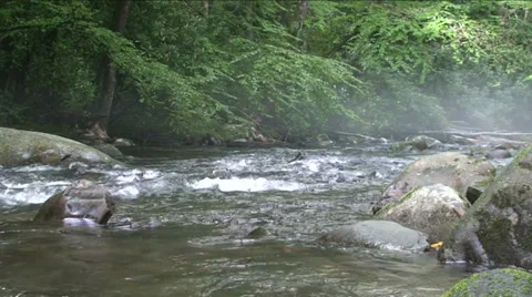 Misty Mountain River Stock Footage 29801523