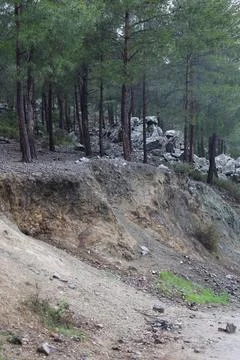 Misty mountain road Stock Photos