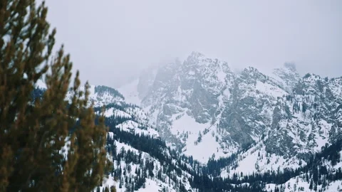 Misty Mountain Slopes and Pine Forest Grand Teton Wyoming Stock Footage 313483751