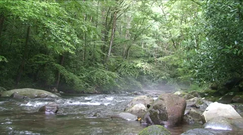 Misty Mountain Stream Stock Footage 29800599