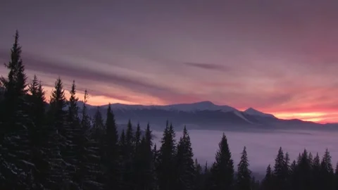 Misty Mountain Sunset with Pine Forest Silhouette Stock Footage 327268144