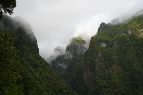 Misty Mountain Valley on Levada do Caldeirão Verde, PR9 Fotos Stock