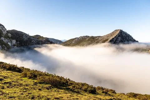 Misty Mountain Valley Stock Photos