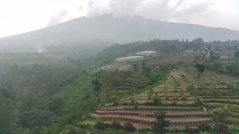 Misty Mountain View Over Lush Green Terraced Farmlands Stock Footage 302089717