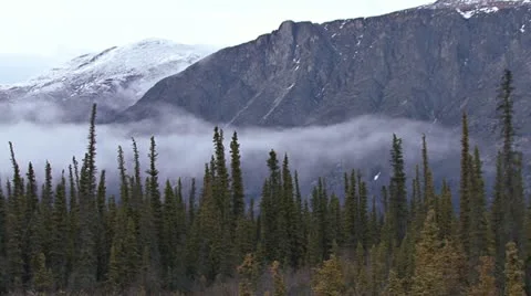Misty Mountain Yukon Forest Time Lapse Stock Footage 10949719