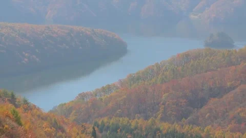 Misty Mountains and Fall Colors Stock Footage 346189957