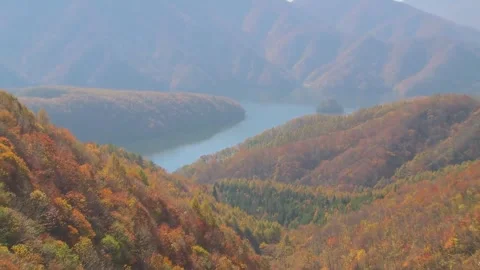 Misty Mountains and Fall Colors Stock Footage 346189961