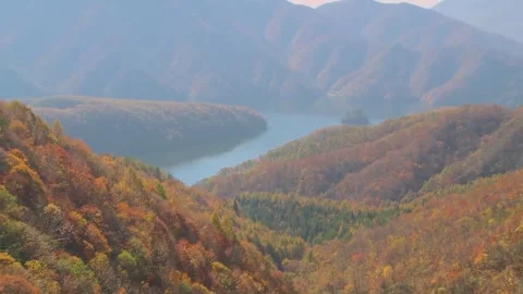 Misty Mountains and Fall Colors Stock Footage 346189964