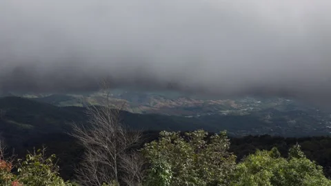 Misty mountains that are surrounded by lush greenery. Stock Footage 302262866