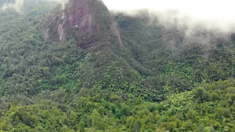 Misty mountains of the coromandel ranges, New Zealand Stock Footage 132630205