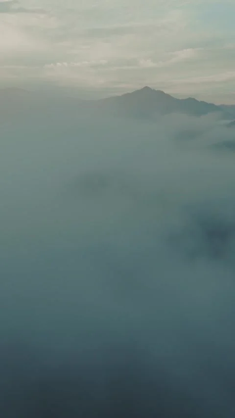 Misty mountains enveloped in fog create a serene landscape at dawn Stock Footage 308950745