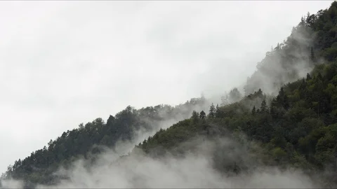 Misty mountains Stock Footage 117189492