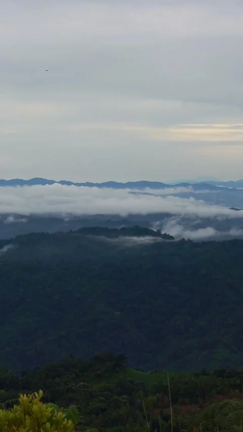 Misty Mountains Landscape Stock Footage 332301698