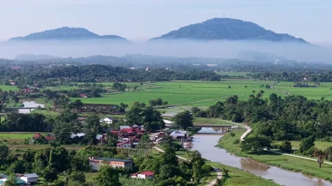 Misty mountains loom over lush green rice fields Stock Footage 344810076