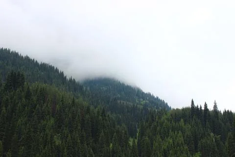 Misty mountains Stock Photos