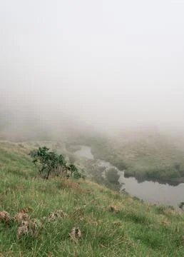 Misty mountains 库存照片