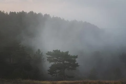 Misty Mountains Stock-Fotos