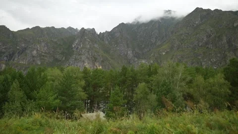 Misty mountains with pine forest under white clouds and fog. Stock Footage 315901875
