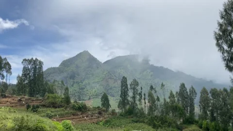 Misty mountains with pine trees cloudy blue sky. 4k Stock-Footage 247012932
