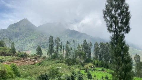 Misty mountains with pine trees cloudy blue sky. 4k Stock-Footage 247013213