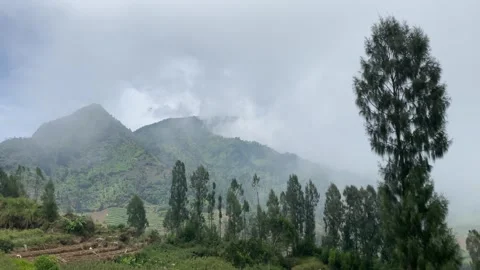 Misty mountains with pine trees cloudy blue sky. 4k Stock-Footage 247013293