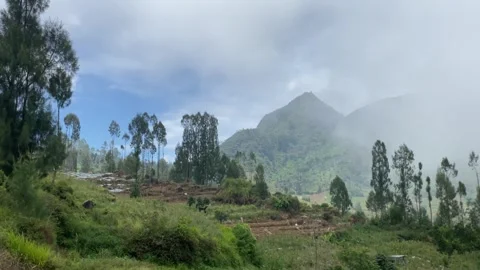 Misty mountains with pine trees cloudy blue sky. 4k Stock-Footage 247013380