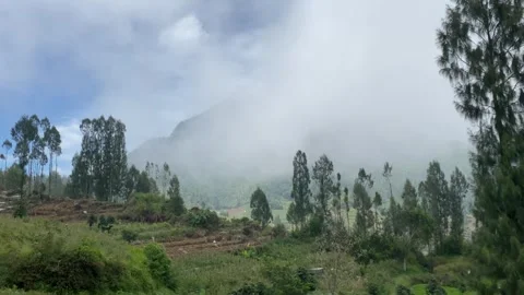 Misty mountains with pine trees cloudy blue sky. 4k Stock-Footage 247013405