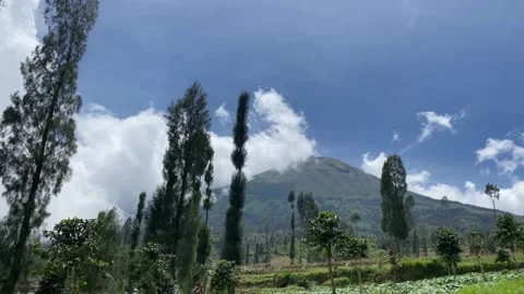 Misty mountains with pine trees cloudy blue sky. 4k Stock-Footage 247014235