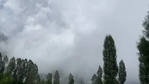 Misty mountains with pine trees cloudy blue sky. 4k Stock-Footage 247015196