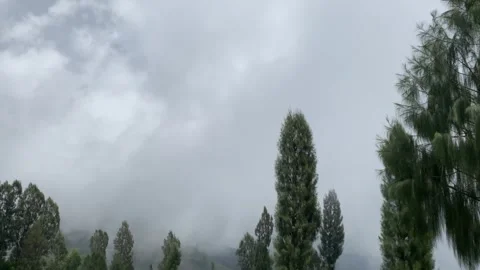 Misty mountains with pine trees cloudy blue sky. 4k Stock-Footage 247015221