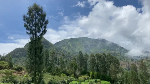 Misty mountains with pine trees cloudy blue sky. 4k Stock-Footage 247015239