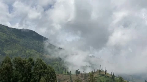 Misty mountains with pine trees cloudy blue sky. 4k Stock-Footage 247015293