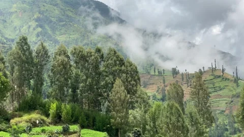 Misty mountains with pine trees cloudy blue sky. 4k Stock-Footage 247015777