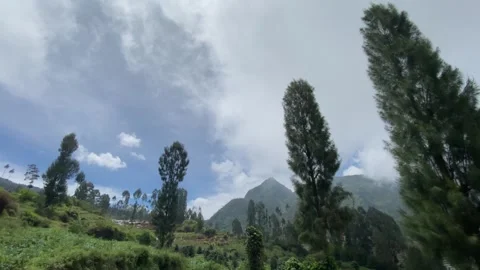 Misty mountains with pine trees cloudy blue sky. 4k Stock-Footage 247015857